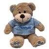 Personalised Small/large T- Shirt Teddy